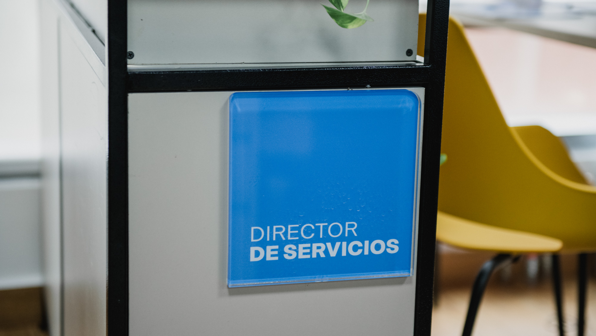 GuiaIlimitada-Environmentalgraphics-19